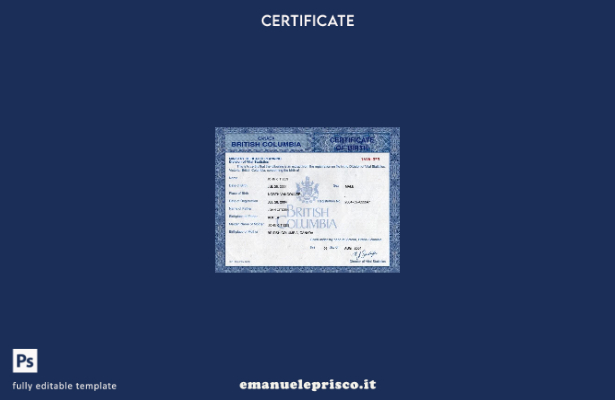 stile verificato Modello di certificato di nascita del Ministero della pianifica